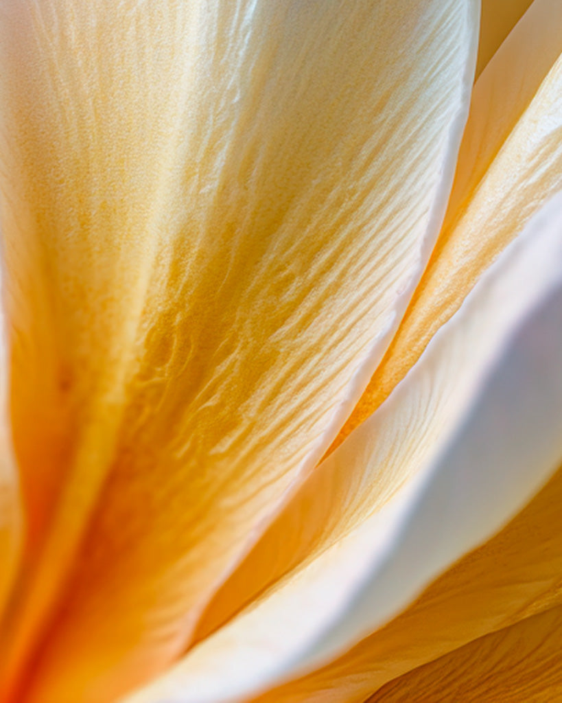 Kit Découverte Déodorant stick