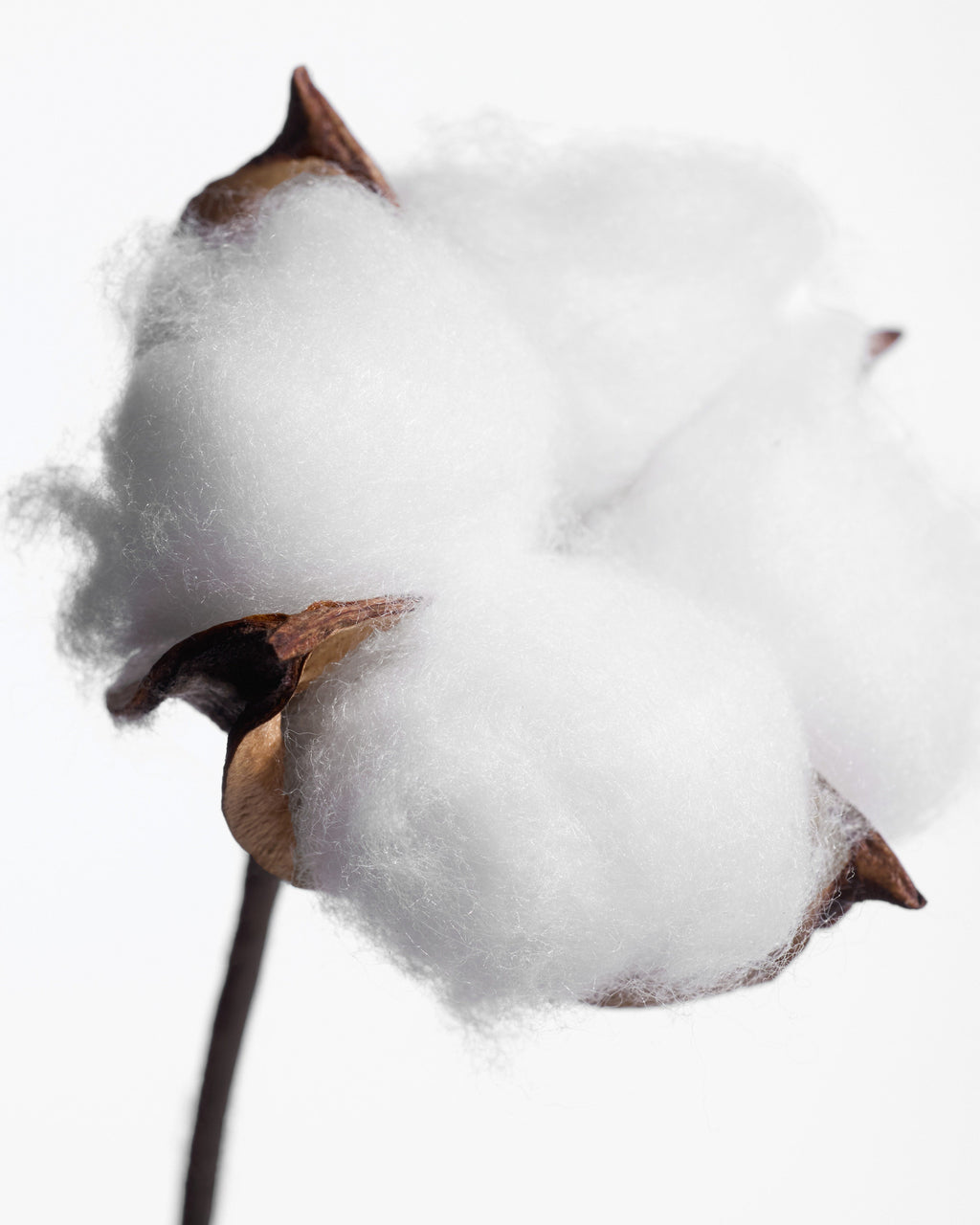 Kit Recharge Déodorant stick Fleur de Coton