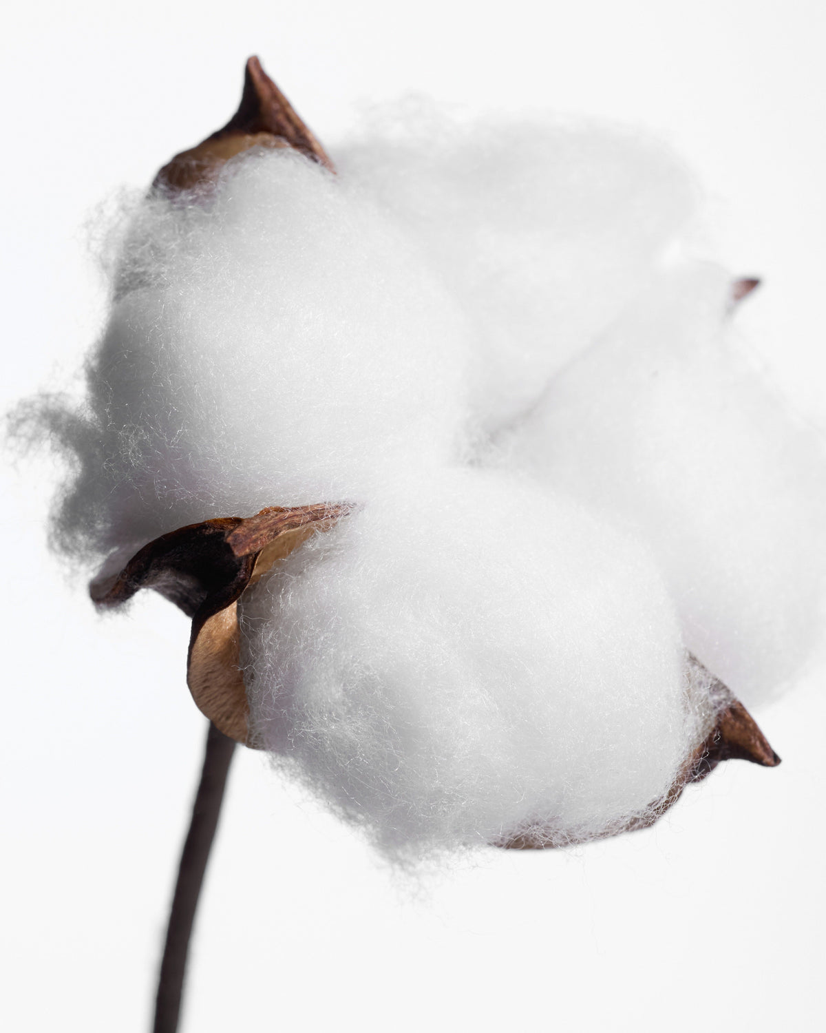Kit Recharge Déodorant stick Fleur de Coton