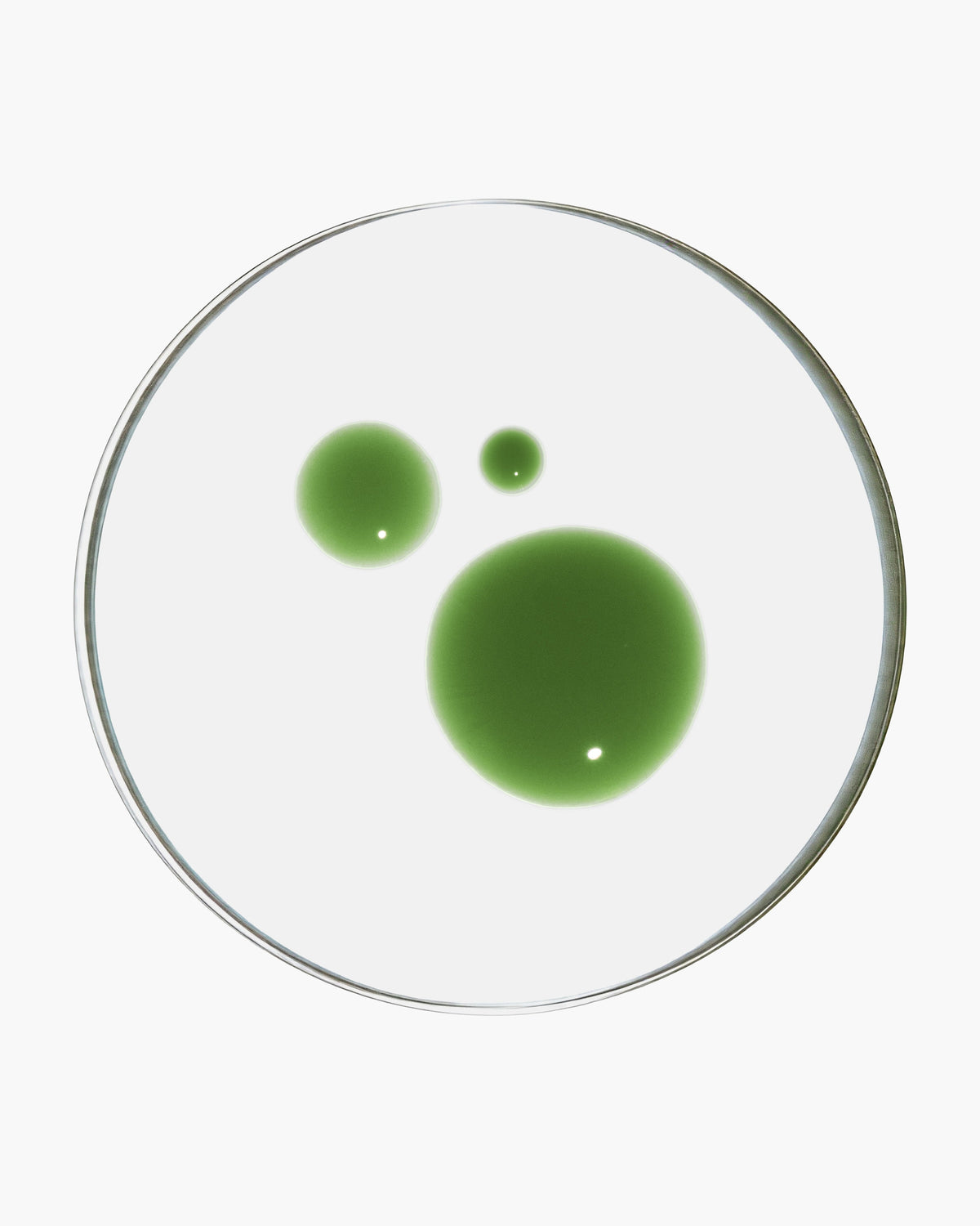 Sérum Concentré Purifiant